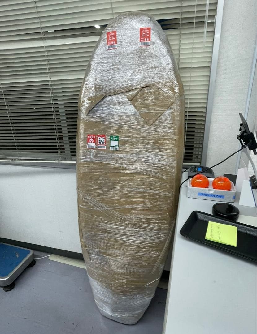 PriorityさときちさまFIREWIRE EL TOMO FISH 5'6\"