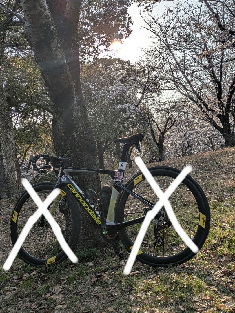 Cannondale ロードバイクフレーム ブラック/イエロー