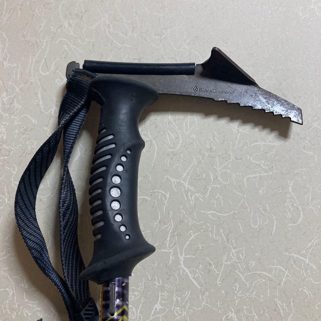  ストック　ウィペット
