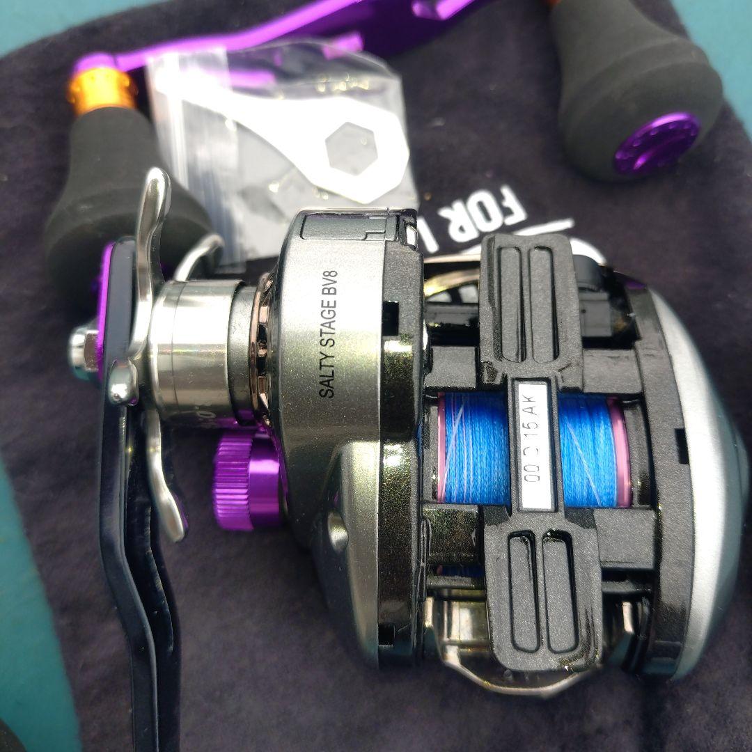 Abu Garcia Salty Stage BV8 ベイトリール
