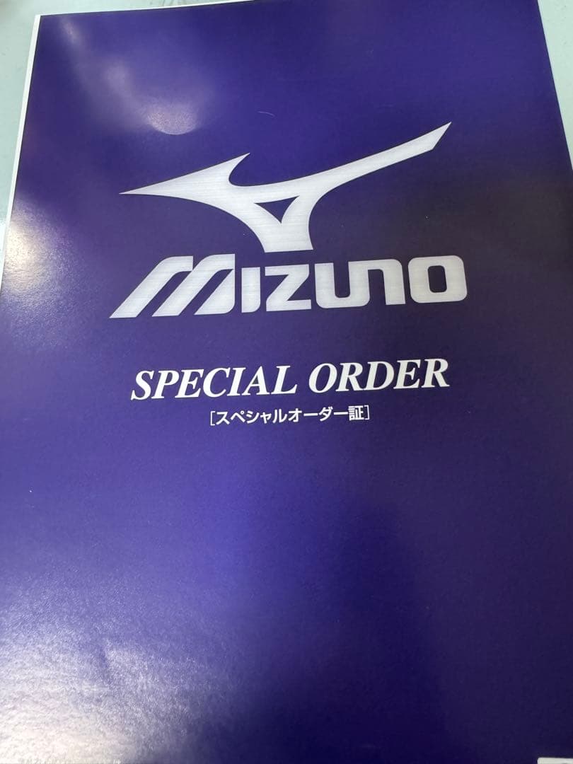 Mizuno Pro Ｔ-1 カスタムウェッジ 2本セット　DGツアーイシュー