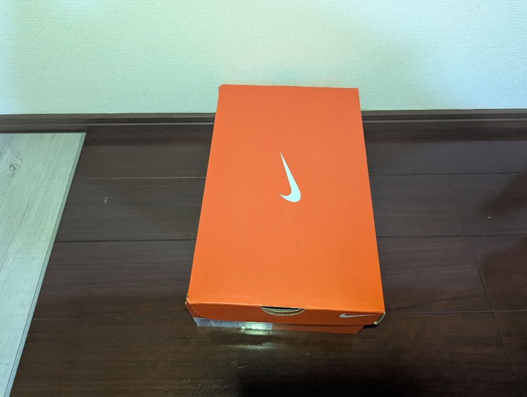 Nike ドラゴンフライ