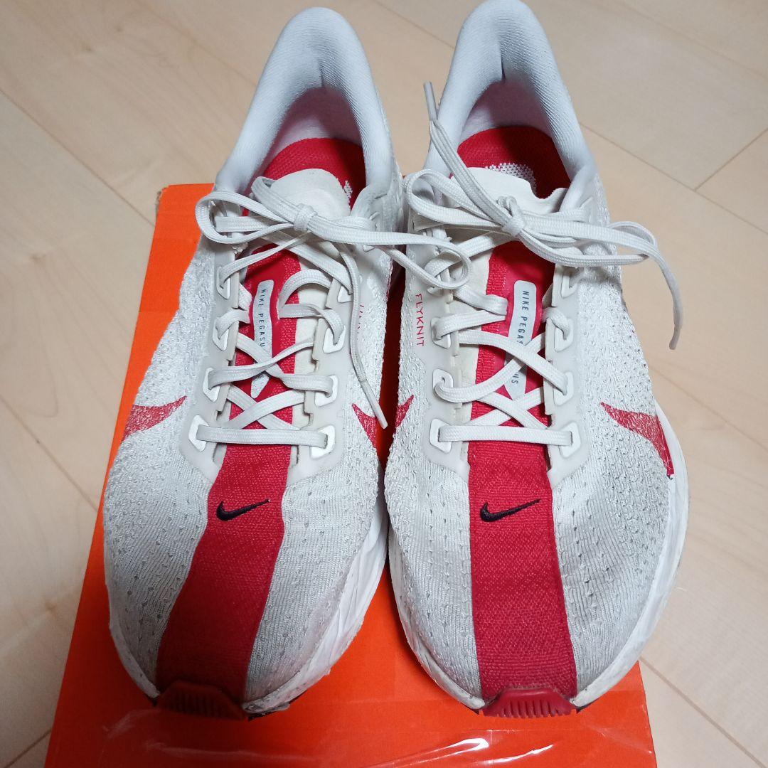 NIKE ペガサスプラス　26.0cm