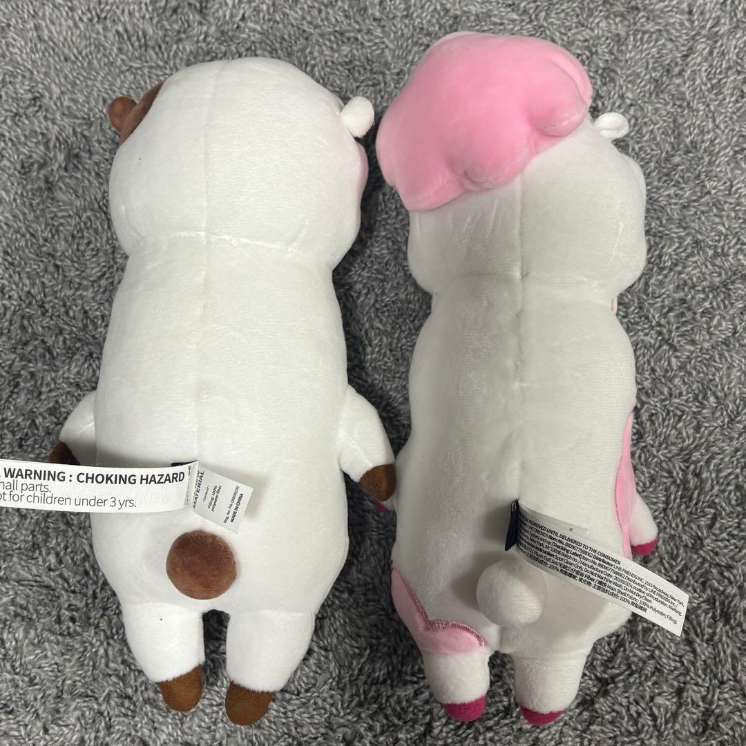 BT21 RJ Family ぬいぐるみセット