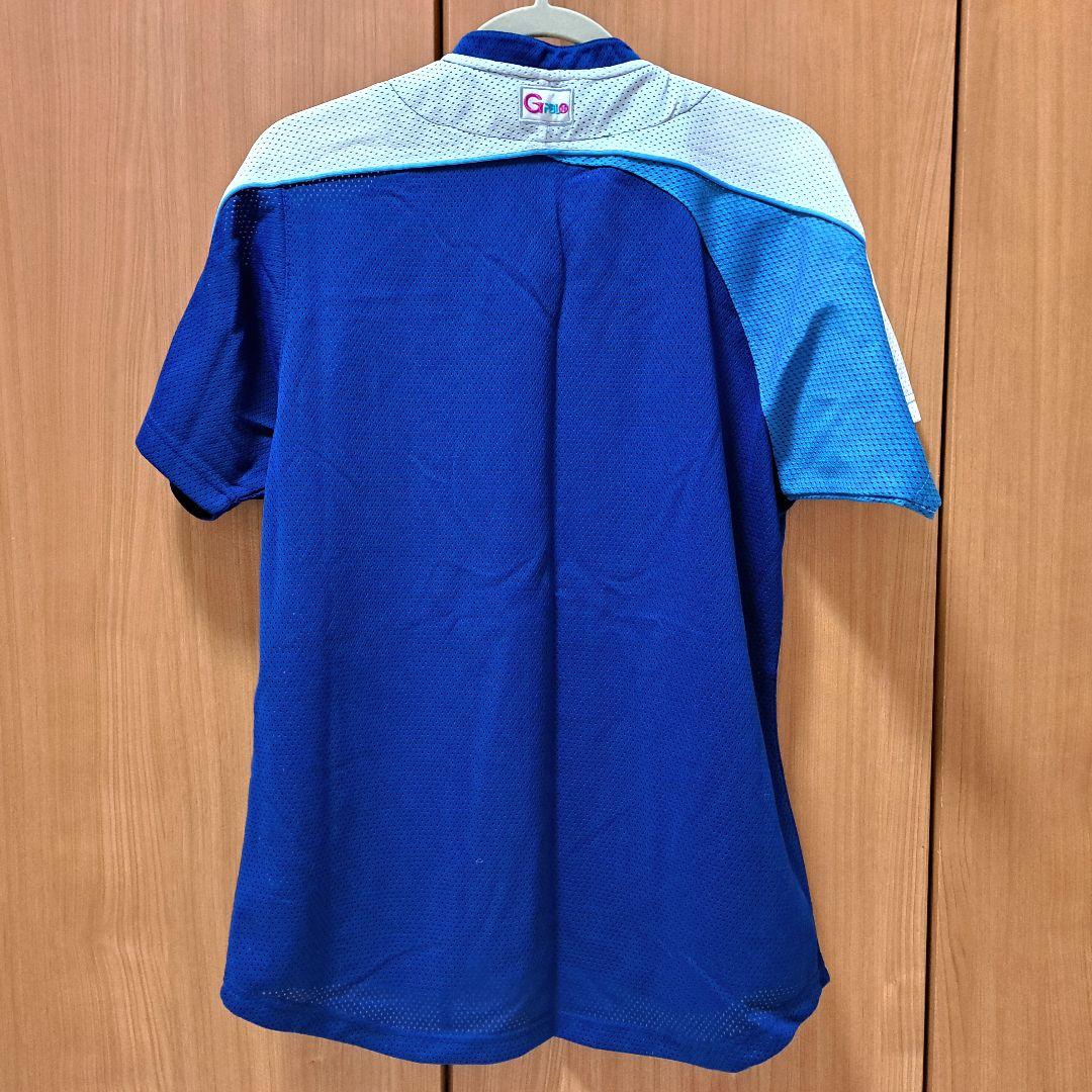 女子プロ野球 ユニホーム サイン色紙 サインボール など まとめ売り