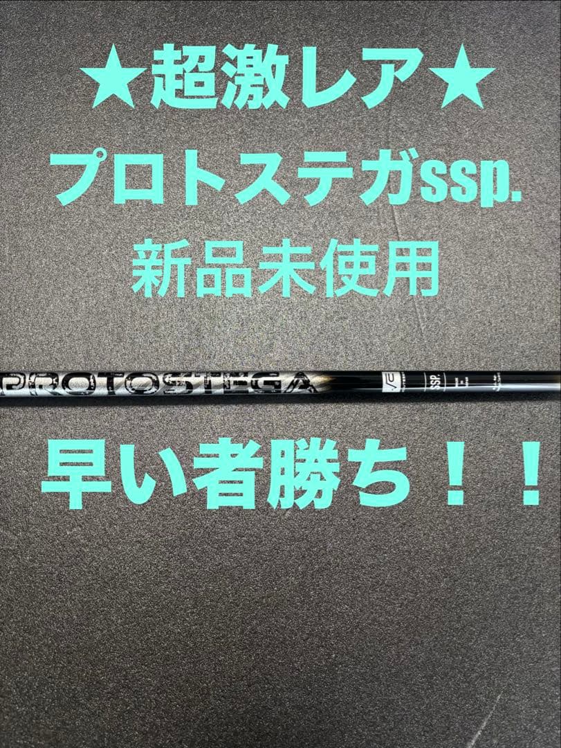 プロトステガssp. 新品未使用 超激レア