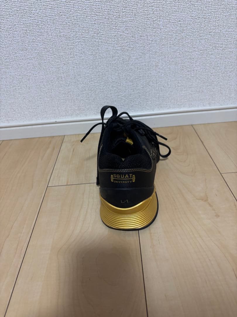 TYR L-1リフター　M9、W10.5(箱・袋無し)