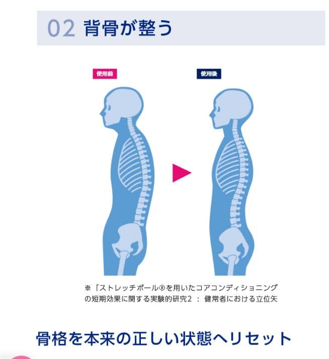 正規品LPN社製 ストレッチポール(R)EXシリーズ ストレッチポール 98cm