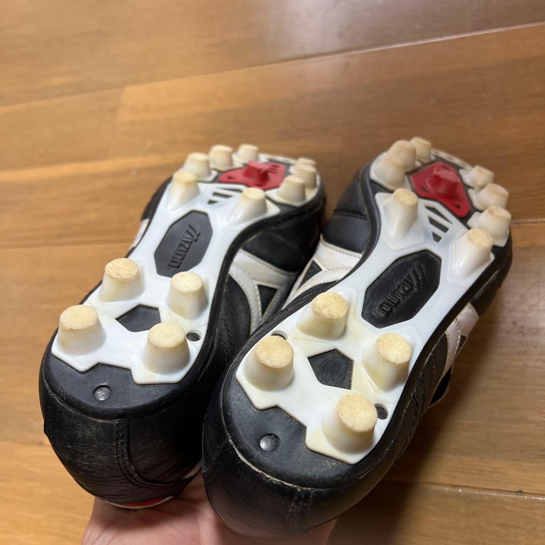 モレリア2 25㎝