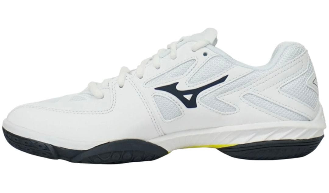 極美品MIZUNOウエーブクローEL２、２5センチ、バドミントンシューズ