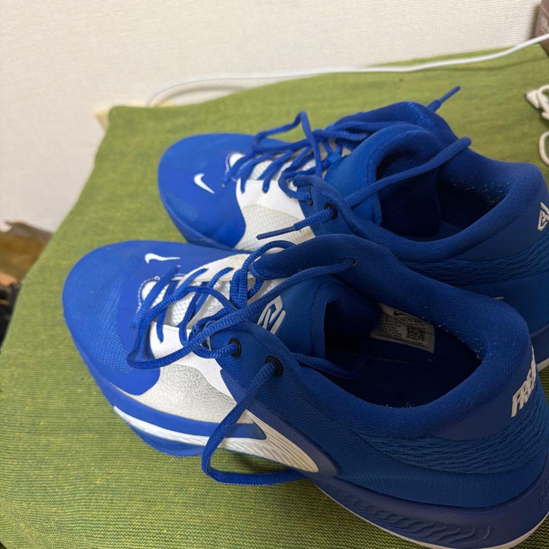 NIKE エアズームフリーク4 TB
