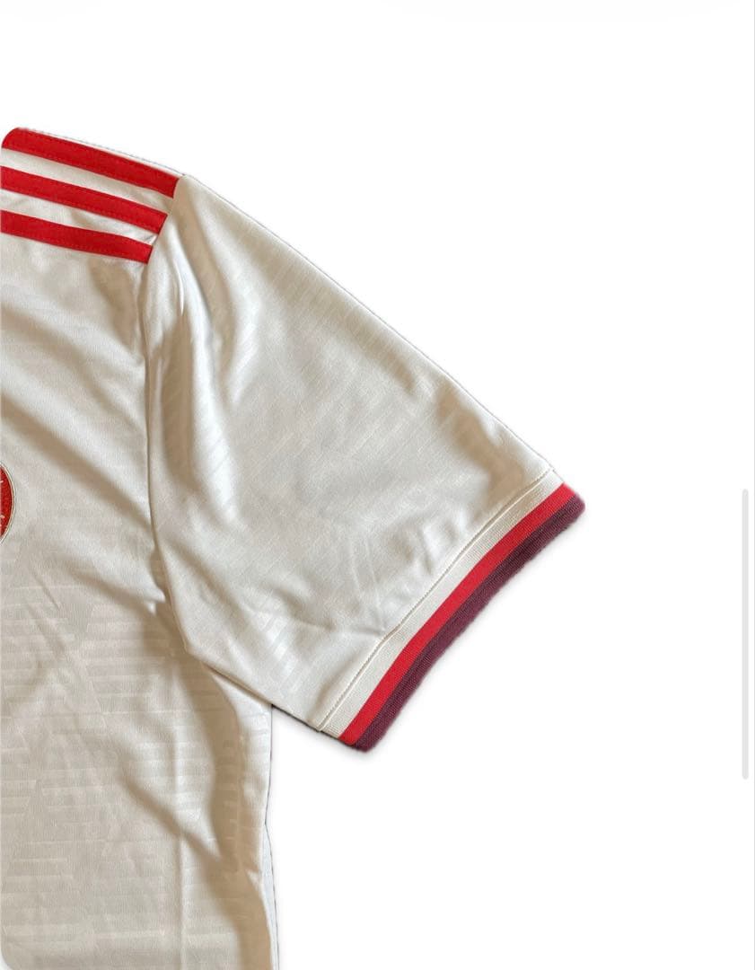 BAYERN MÜNCHEN 24/25 3rd jersey