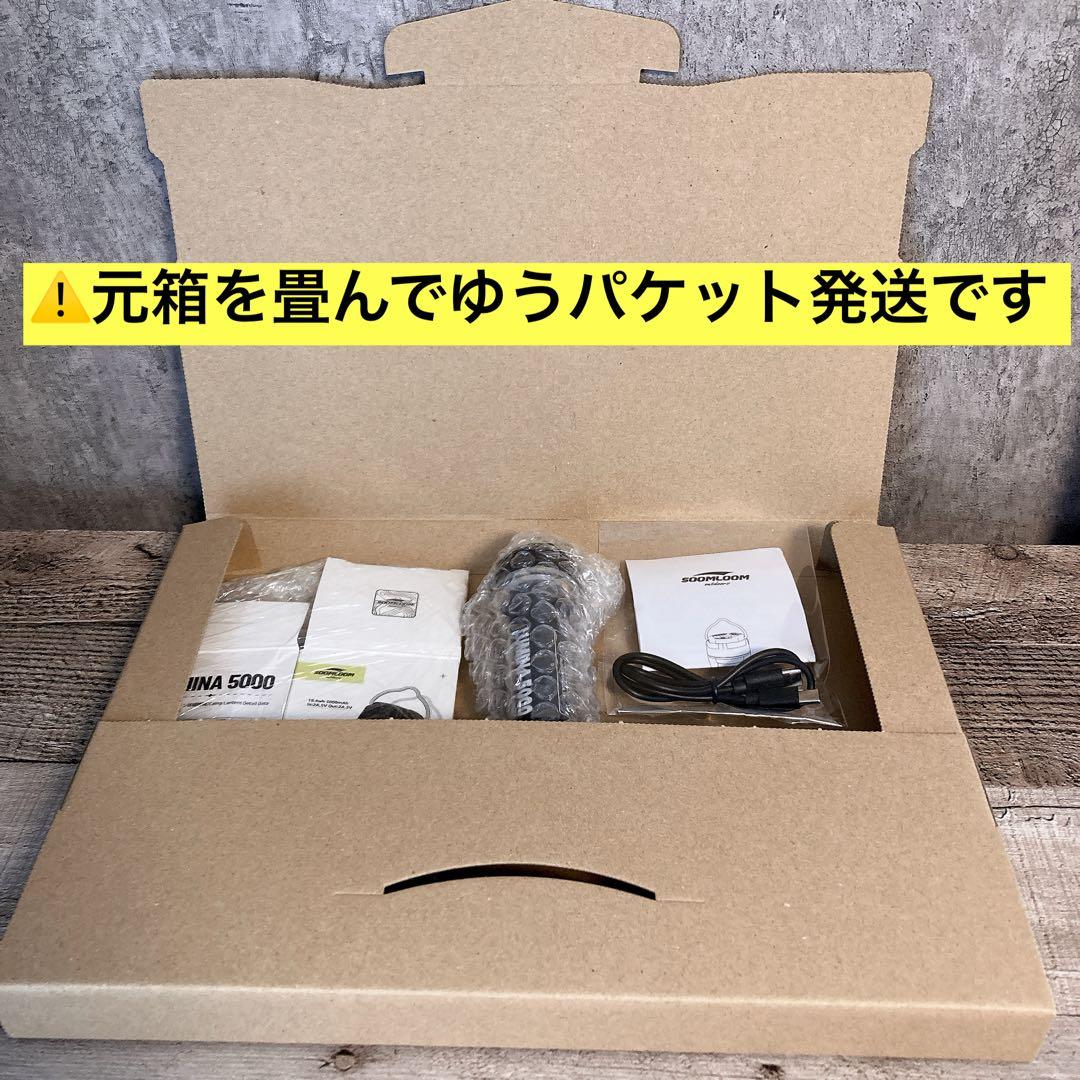 カバーが無料　LUMINA5000 ルミナ5000 ゴールゼロ　スームルーム　③