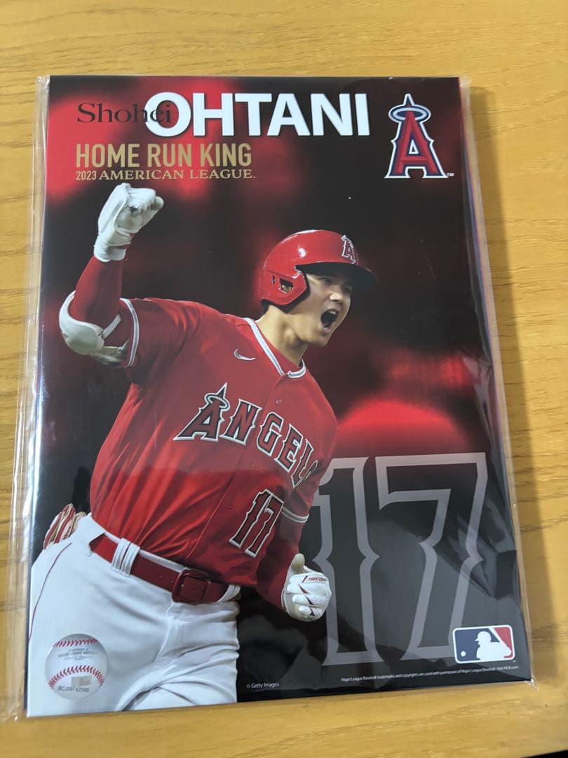 大谷翔平　ホームラン王記念