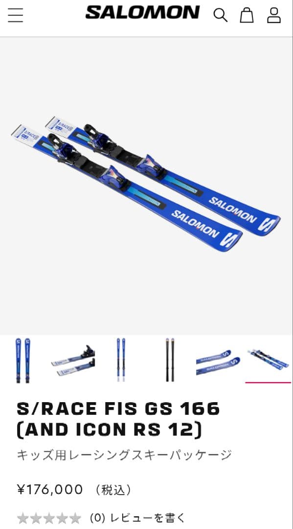 【SALOMON】 GS　スキー板　166cm