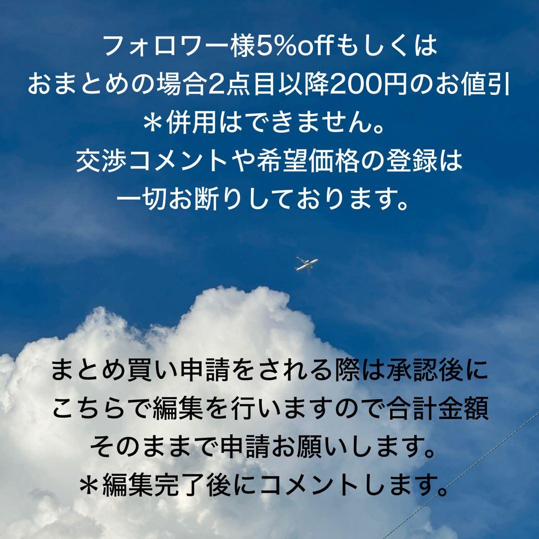 Sugi☆hiroko様 リクエスト 2点 まとめ商品