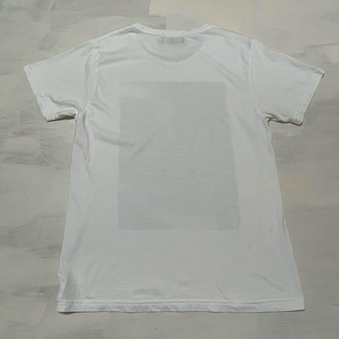レア 美品　Amplifier 甲本ヒロト ブルーハーツ Tシャツ 古着