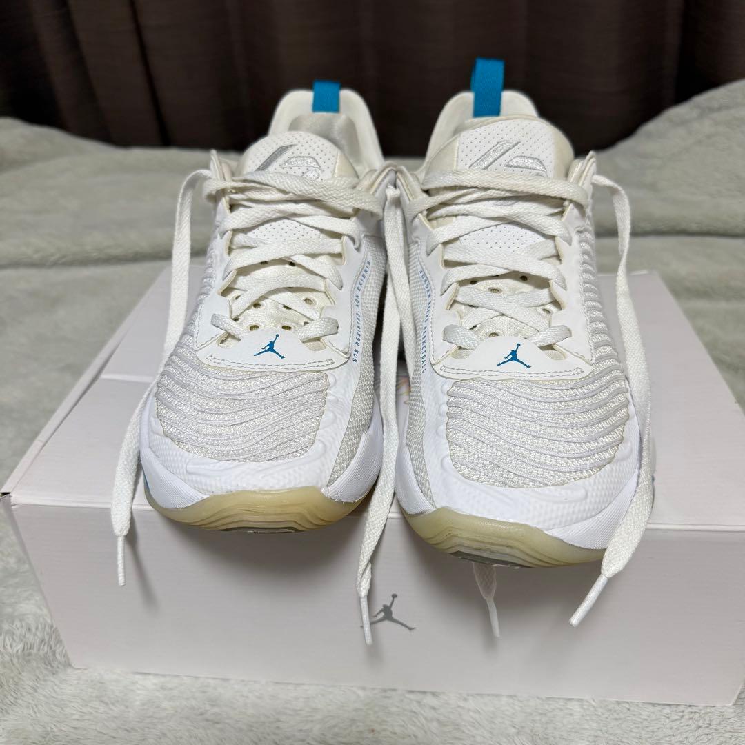 Jordan ルカ1 ホワイト/ターコイズ バスケットシューズ