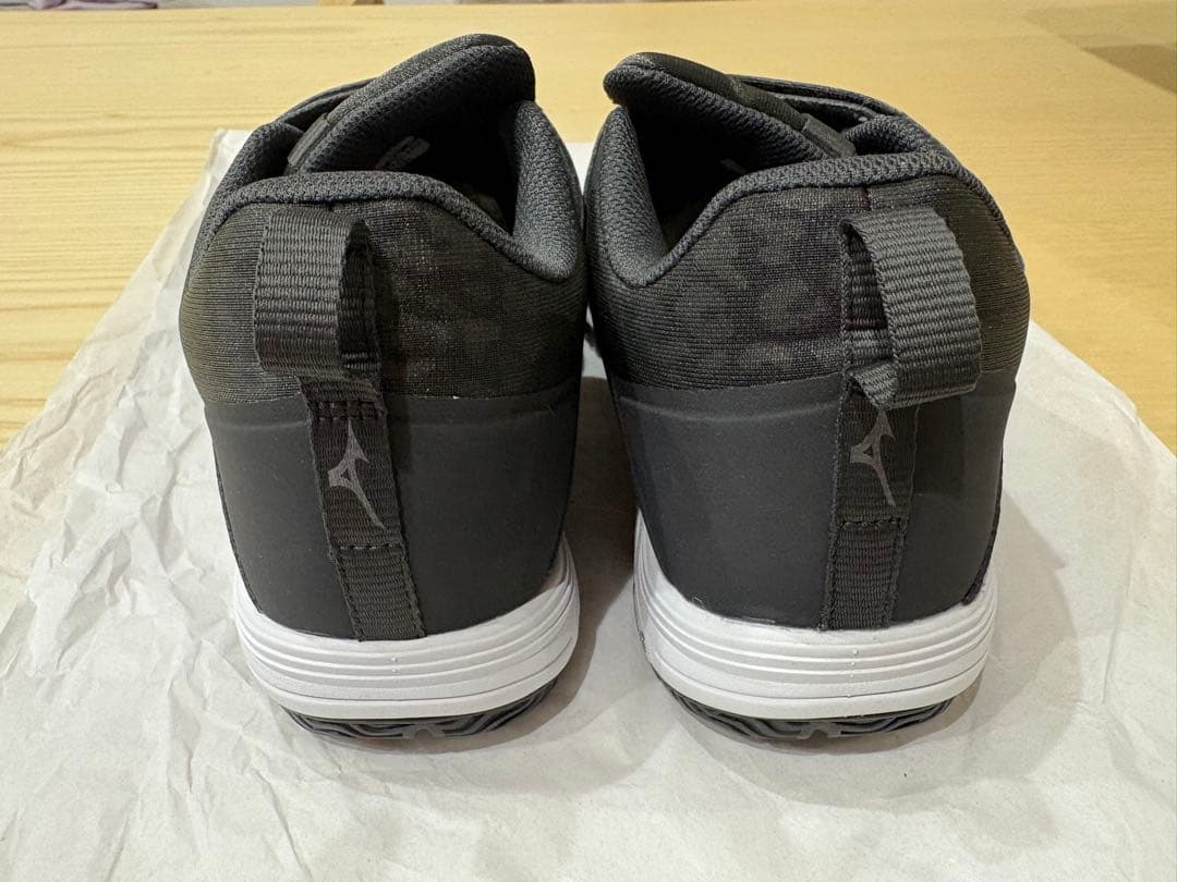 Mizuno ウエーブダイバース　LGLITE2 24.5cm