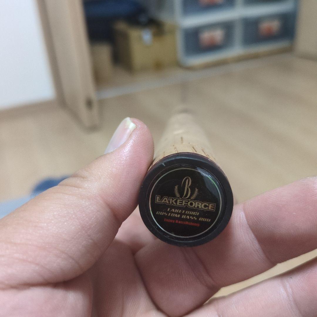 ケーズラボウィズWS600L