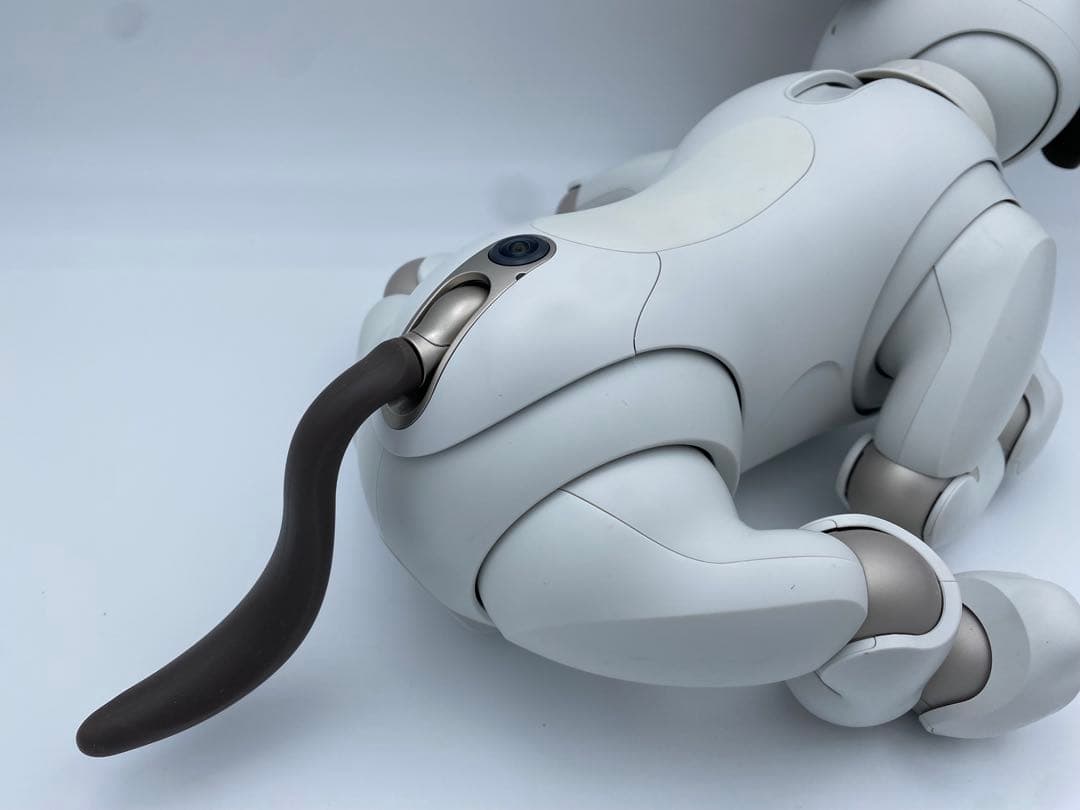 SONY aibo ERS-1000 アイボリー 付属品あり ロボット犬 ソニー