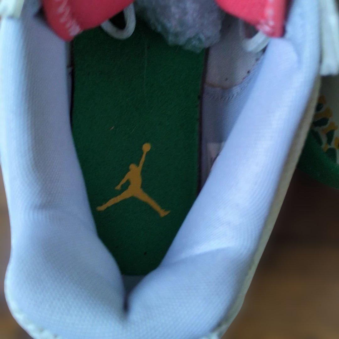 Nike Jordan バスケットボールシューズ