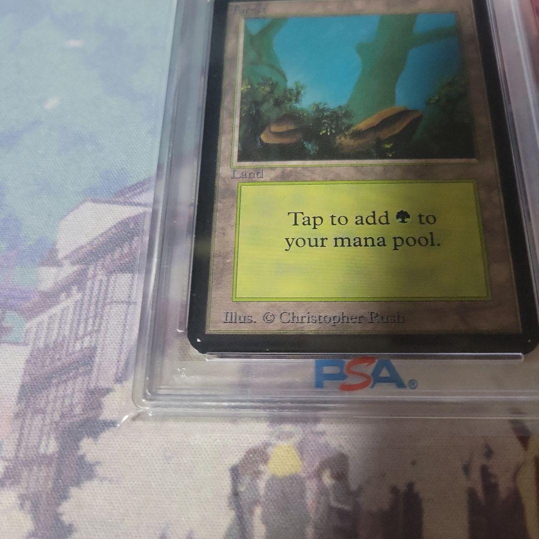 MTG 森 α PSA8