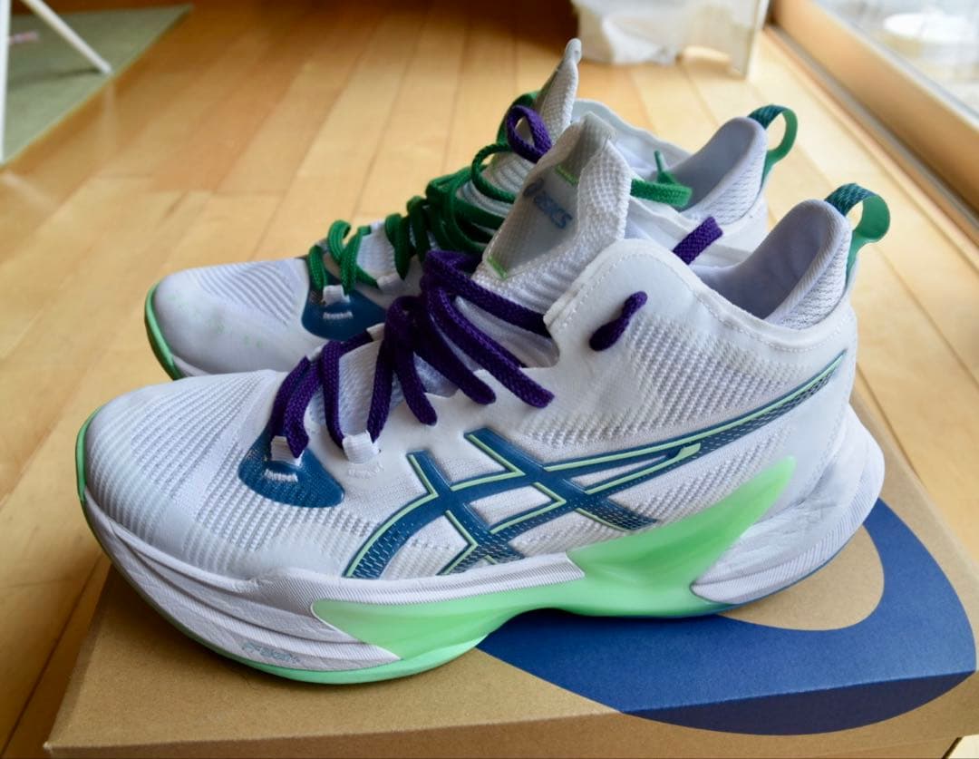 ASICS RISE2 27.5cm 1回着用　美品　箱付き