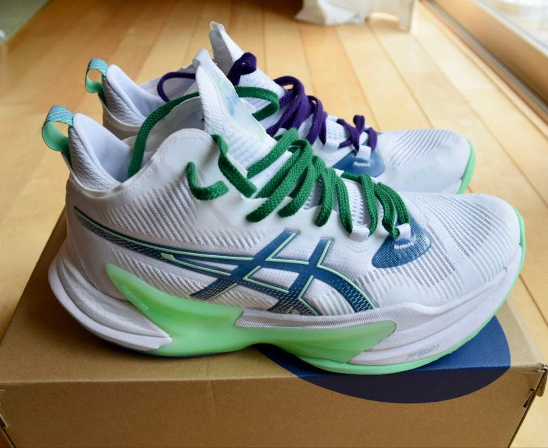 ASICS RISE2 27.5cm 1回着用　美品　箱付き