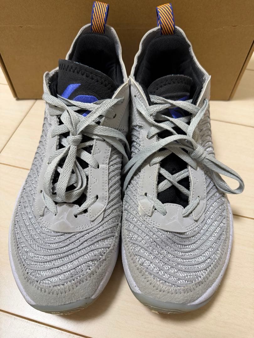 NIKE◇JORDAN LUKA 1 NEXT NATURE◇バッシュ　27cm