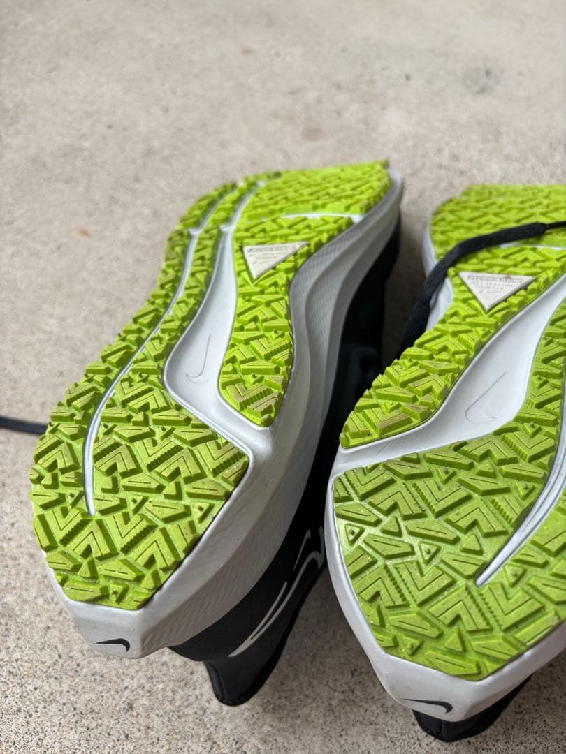 【フェルマックス】NIKE ペガサス39シールド　27cm
