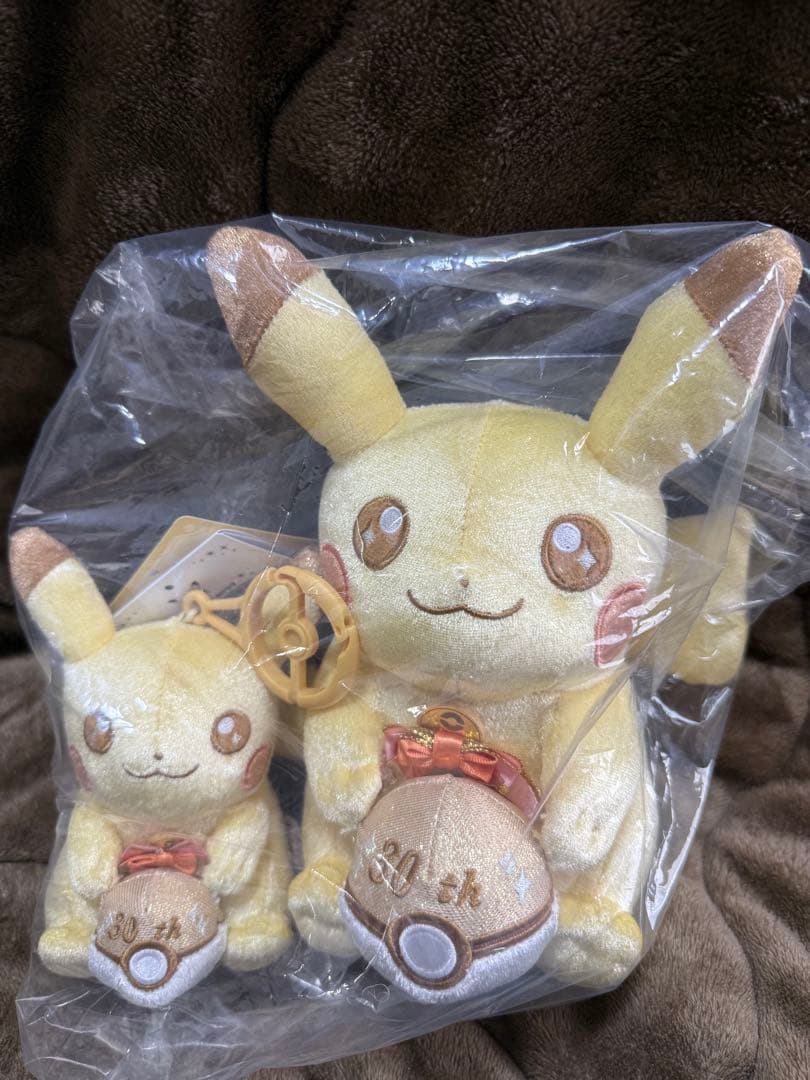 ポケモン 30周年記念 ピカピカ！ピカチュウ ぬいぐるみ マスコット 2点セット