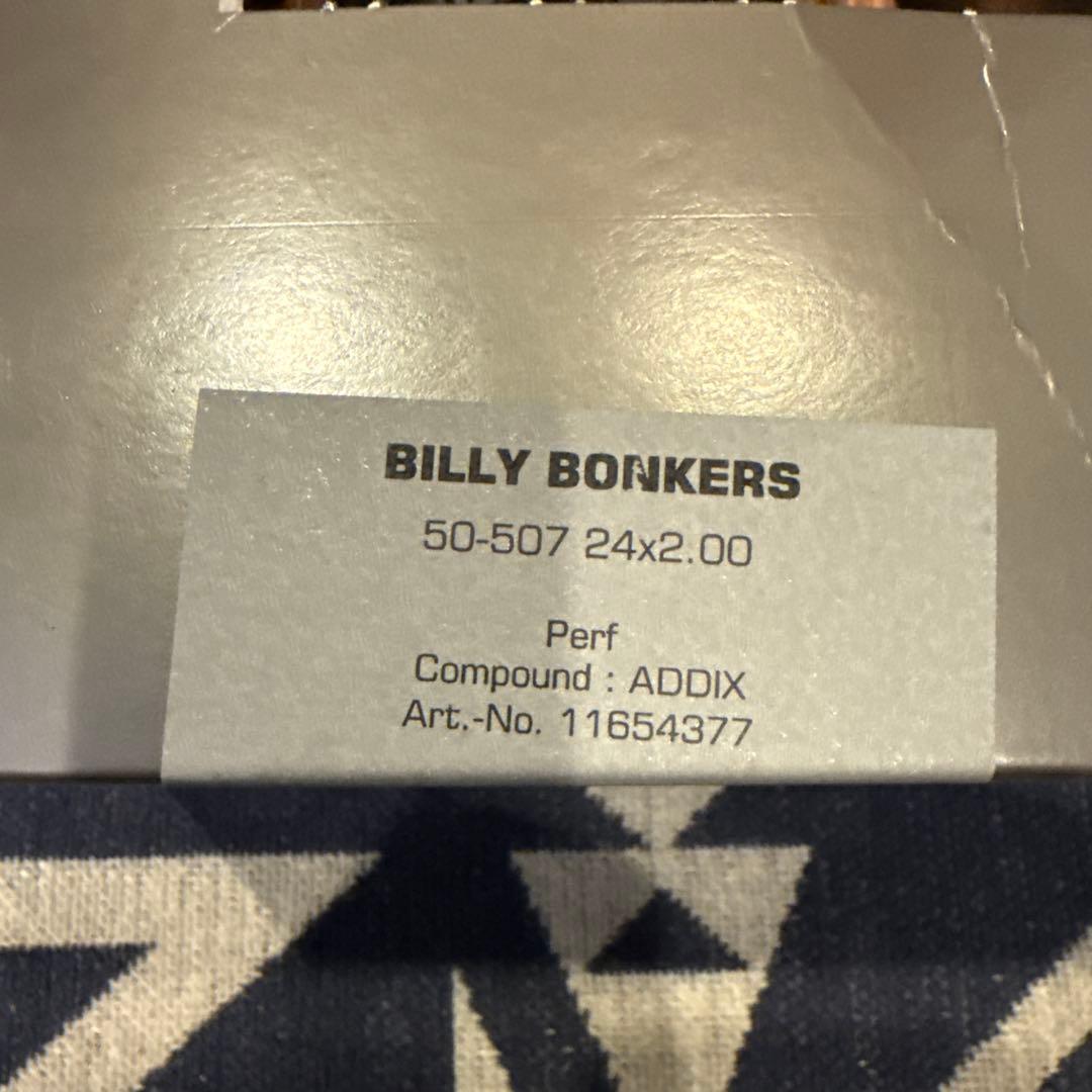 【SCHWALBE】BILLY BONKERS 24×2.00\" 2本セット