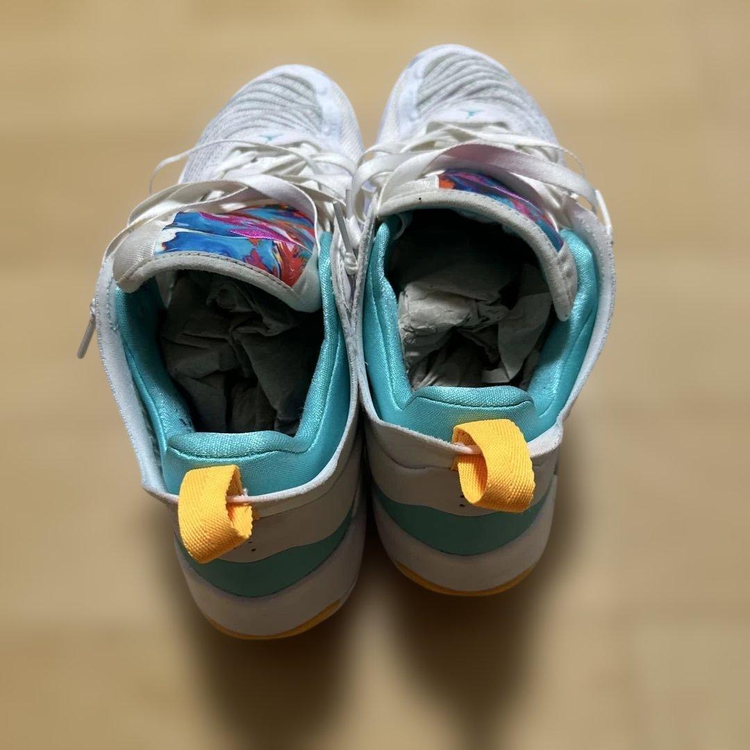 Air Jordan バスケットボールシューズ ホワイト/マルチカラー　ルカ 1