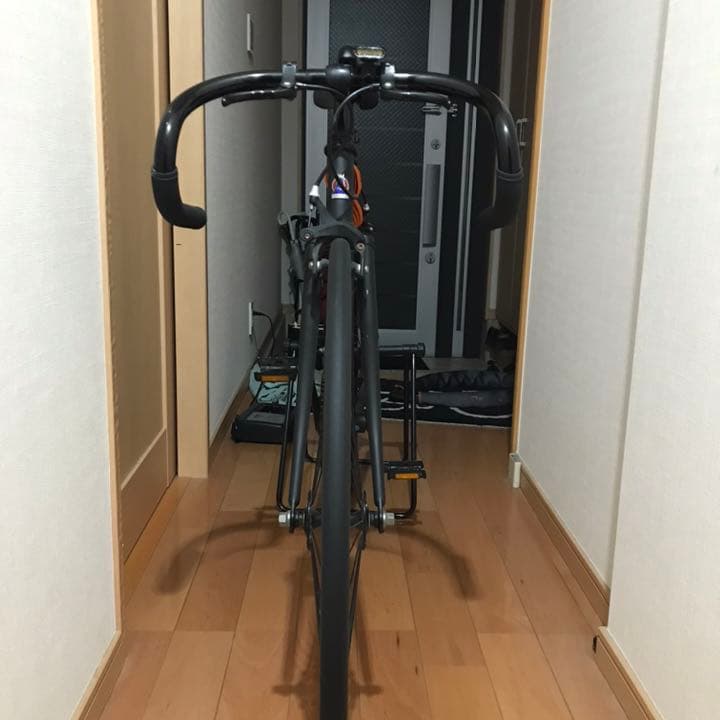 FUJI フェザー