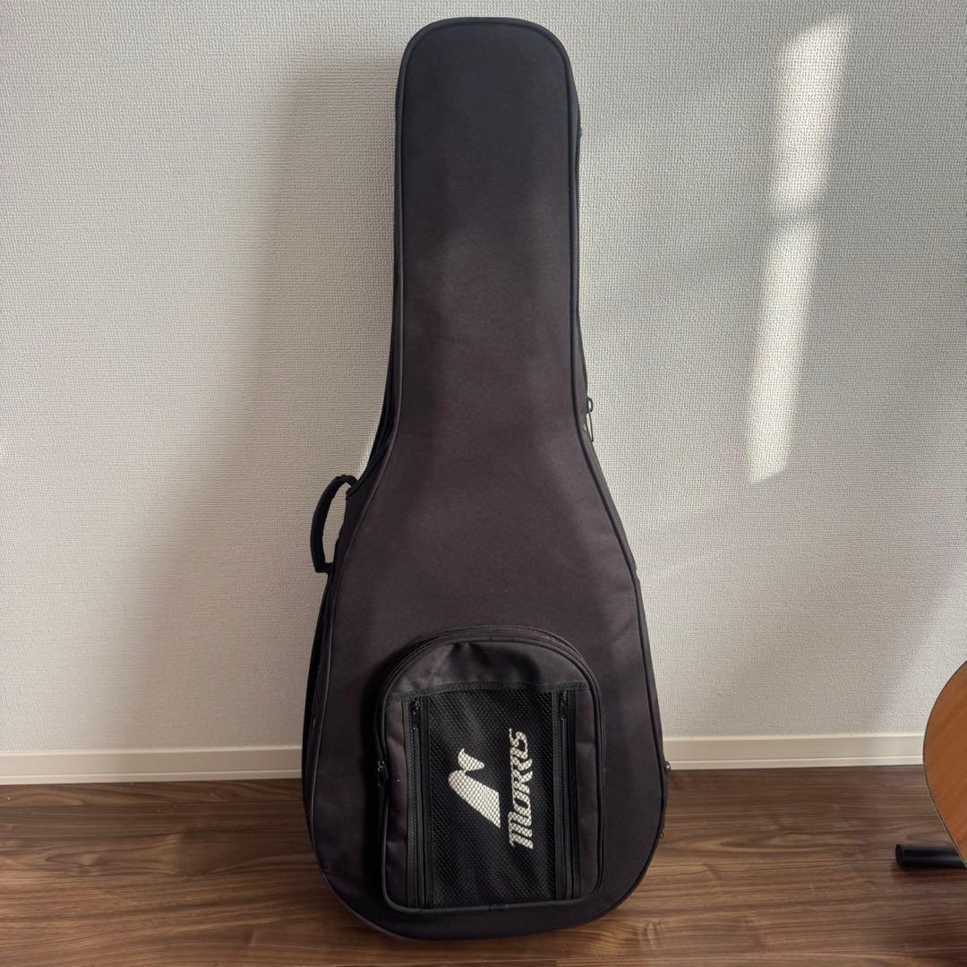 【美品】Morris TF-801 ハカランダ アコースティックギター