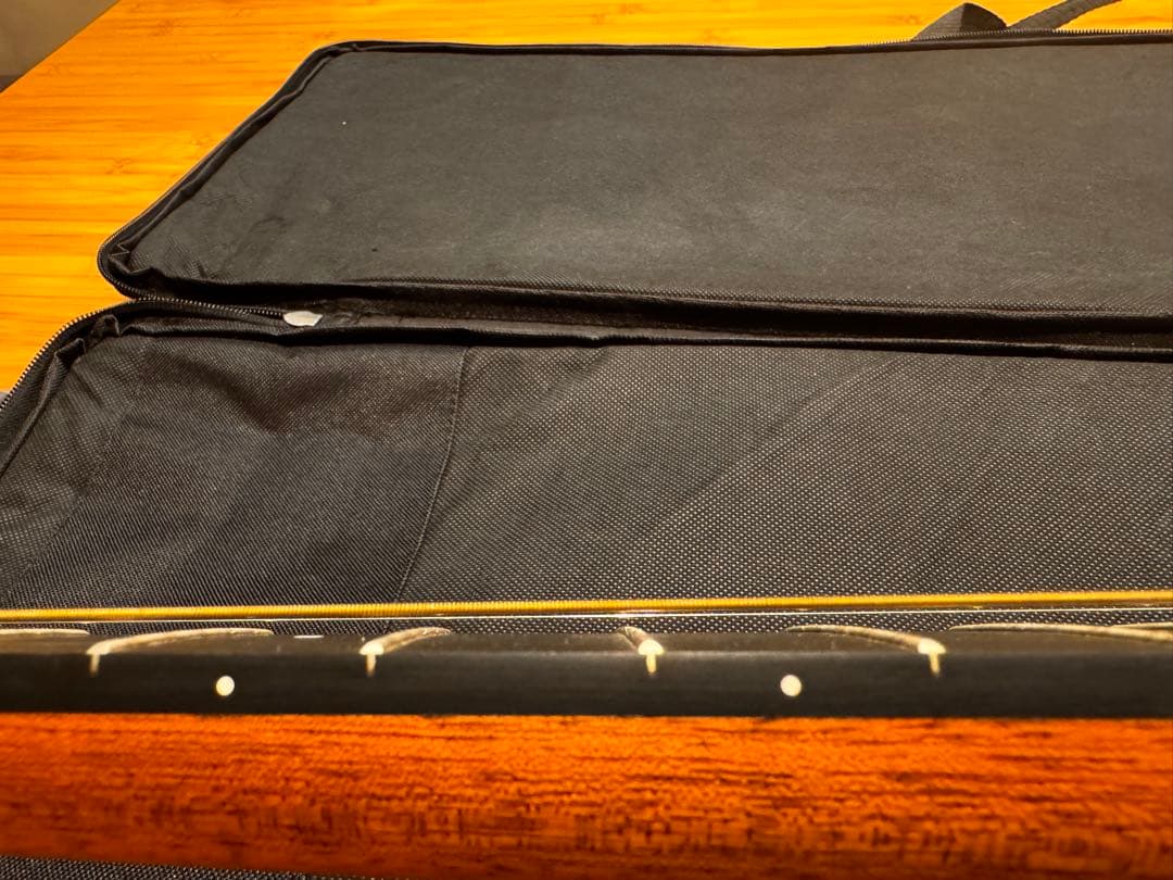 Martin マーチン　バックパッカー　ソフトケース付属