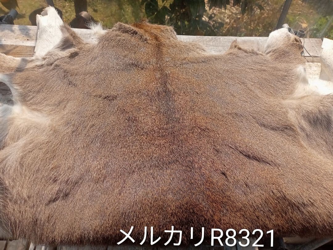 天然日本鹿の冬毛　ラグ