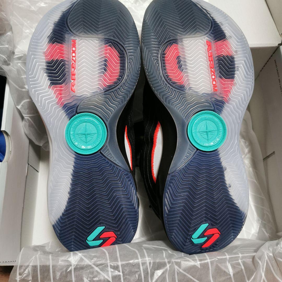 JORDAN LUKA 4 PF ジョーダン　ルカ　4 PF 25cm US7