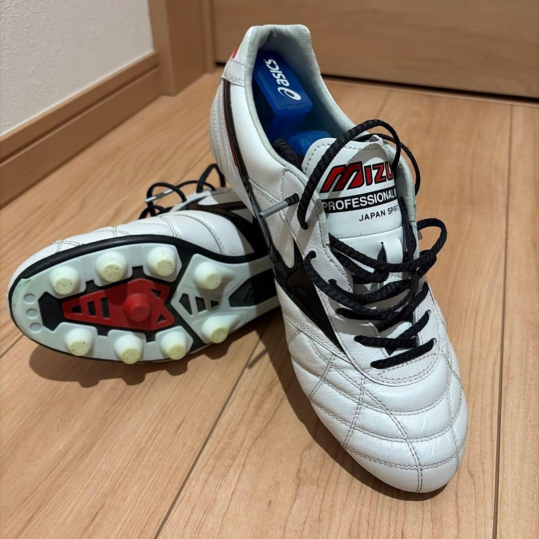 モレリア2 Japan クロスステッチ